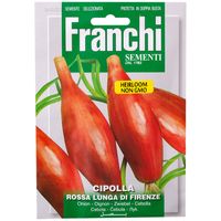 Franchi Sementi Rossa Lunga Onion